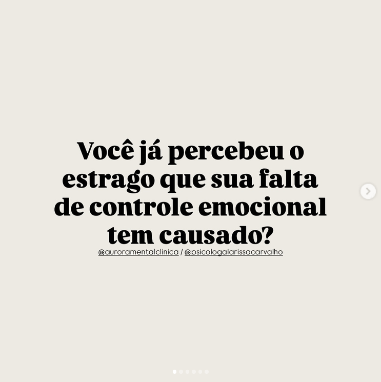 Publicação 4 da Larissa no Instagram